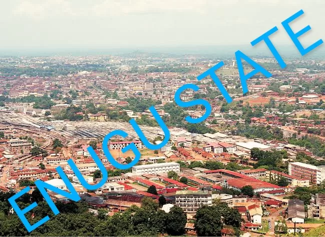 Enugu State local government