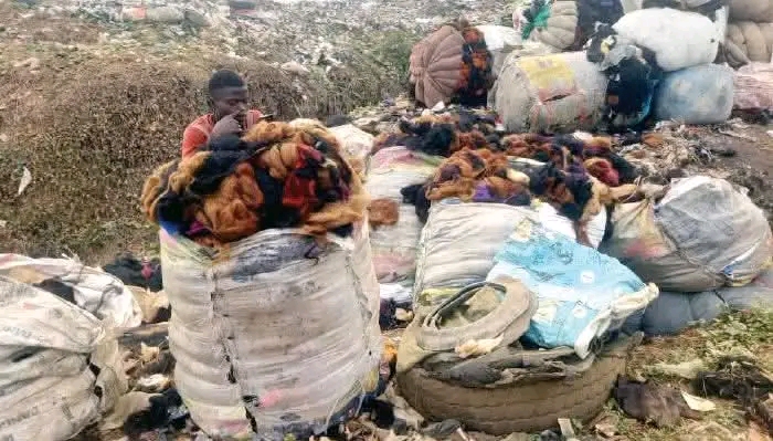 Lagos Scavengers Resell Used Wigs from Dumpsites Amid Serious Health Risks Investigation